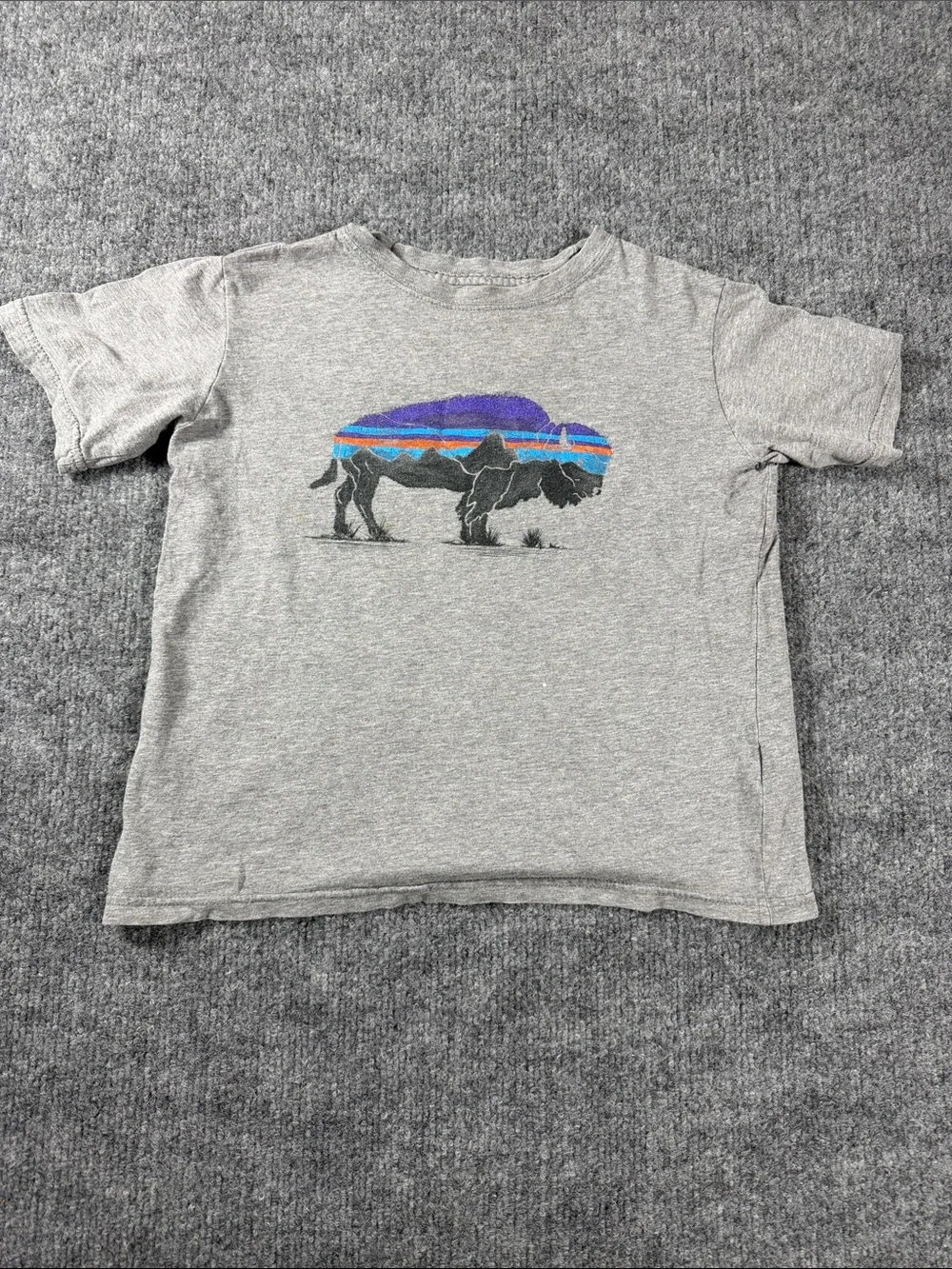Patagonia Boys' Graphic Organic T-Shirt